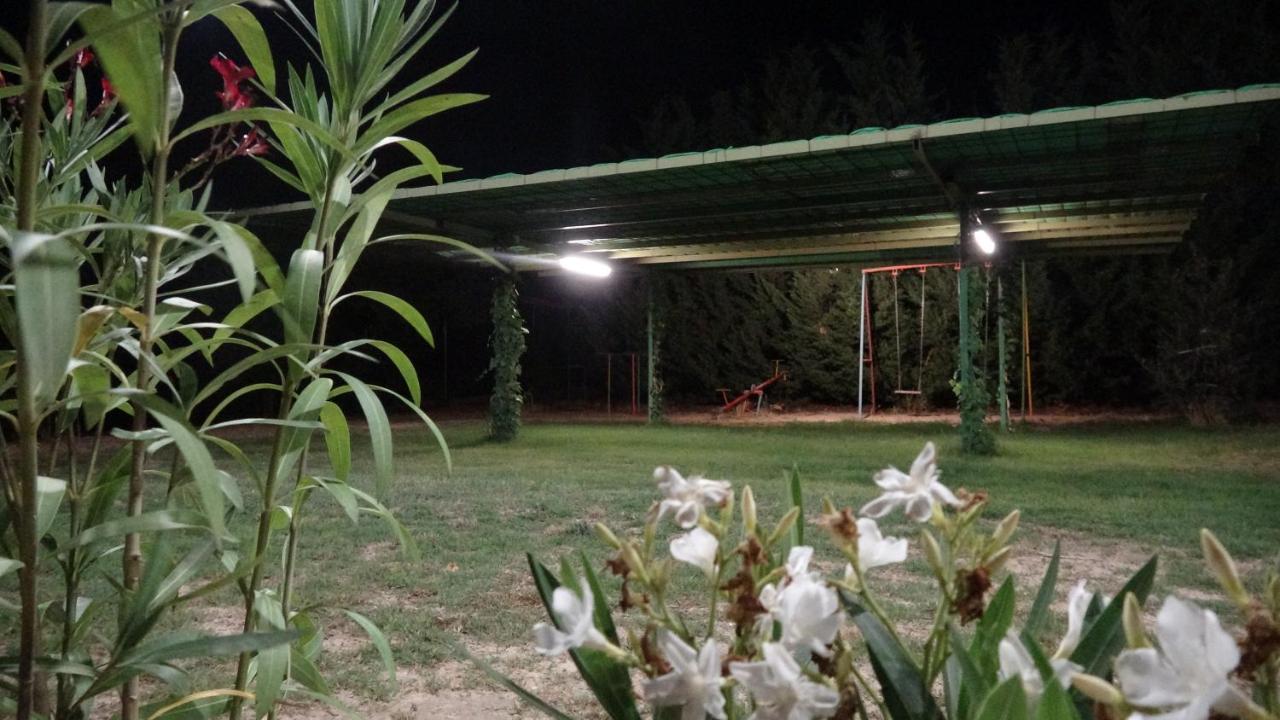 Finca Entrevinedos De Bodegas Marcos Peñafiel エクステリア 写真