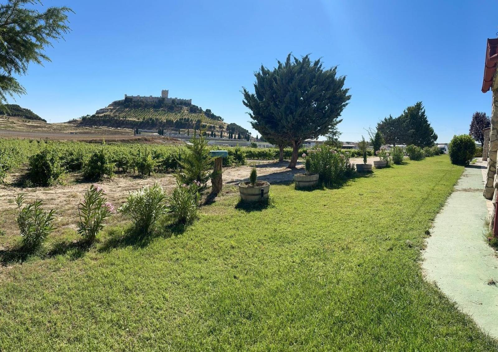 Finca Entrevinedos De Bodegas Marcos Peñafiel エクステリア 写真
